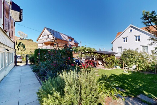 garten mit rasen, day time, power lines view, und zaun