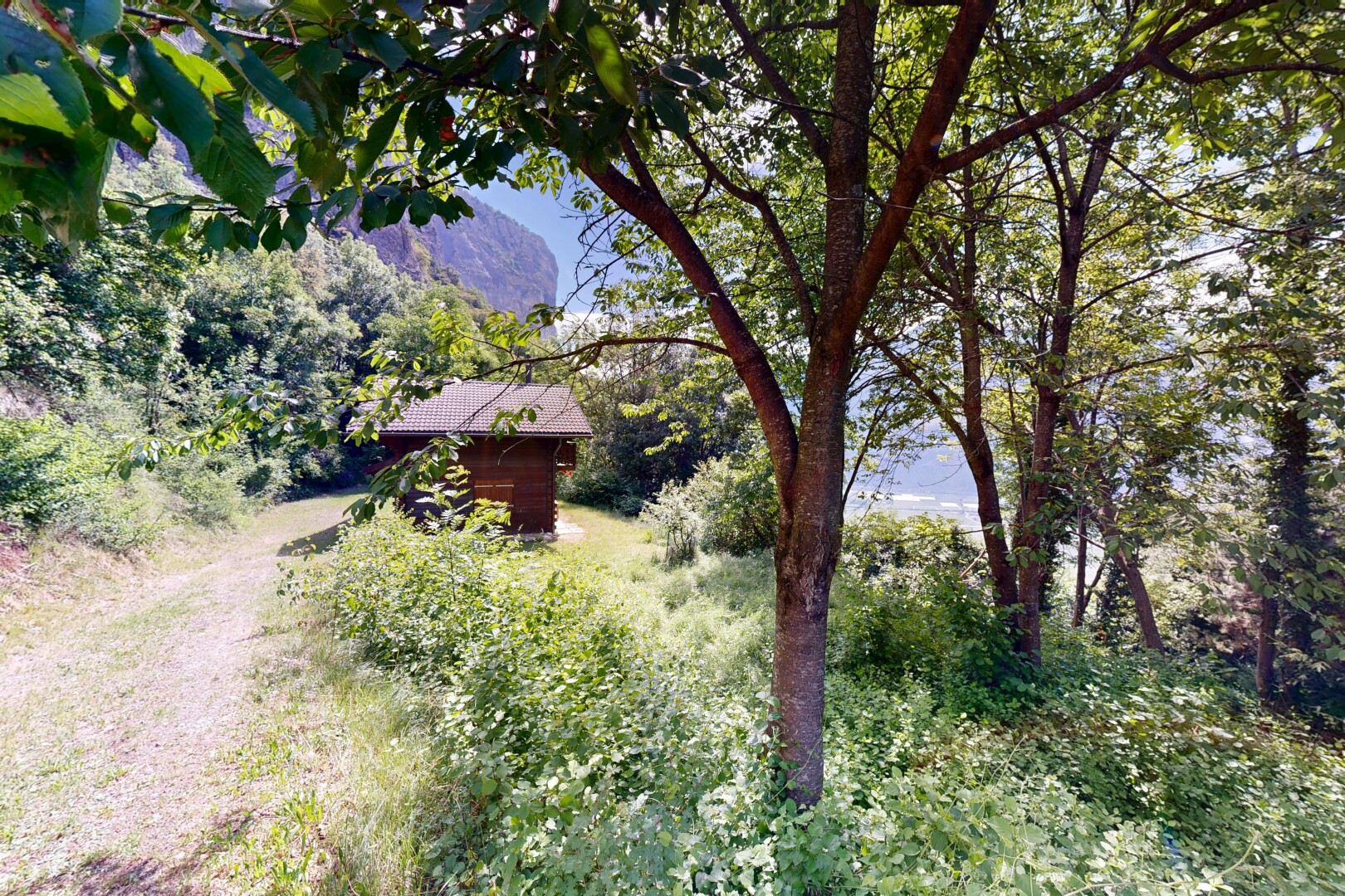 jardin avec day time et property visible