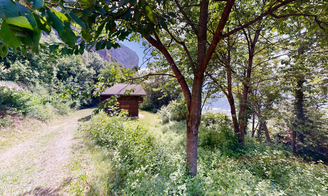 jardin avec day time et property visible