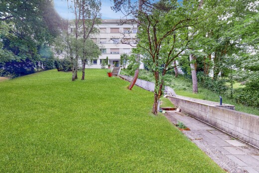 garten mit rasen und day time