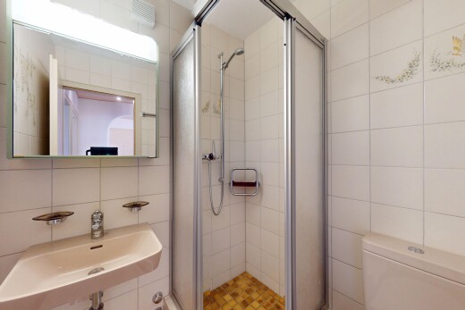 bad mit spiegel, dusche, fliesenwand, toilette, und waschbecken