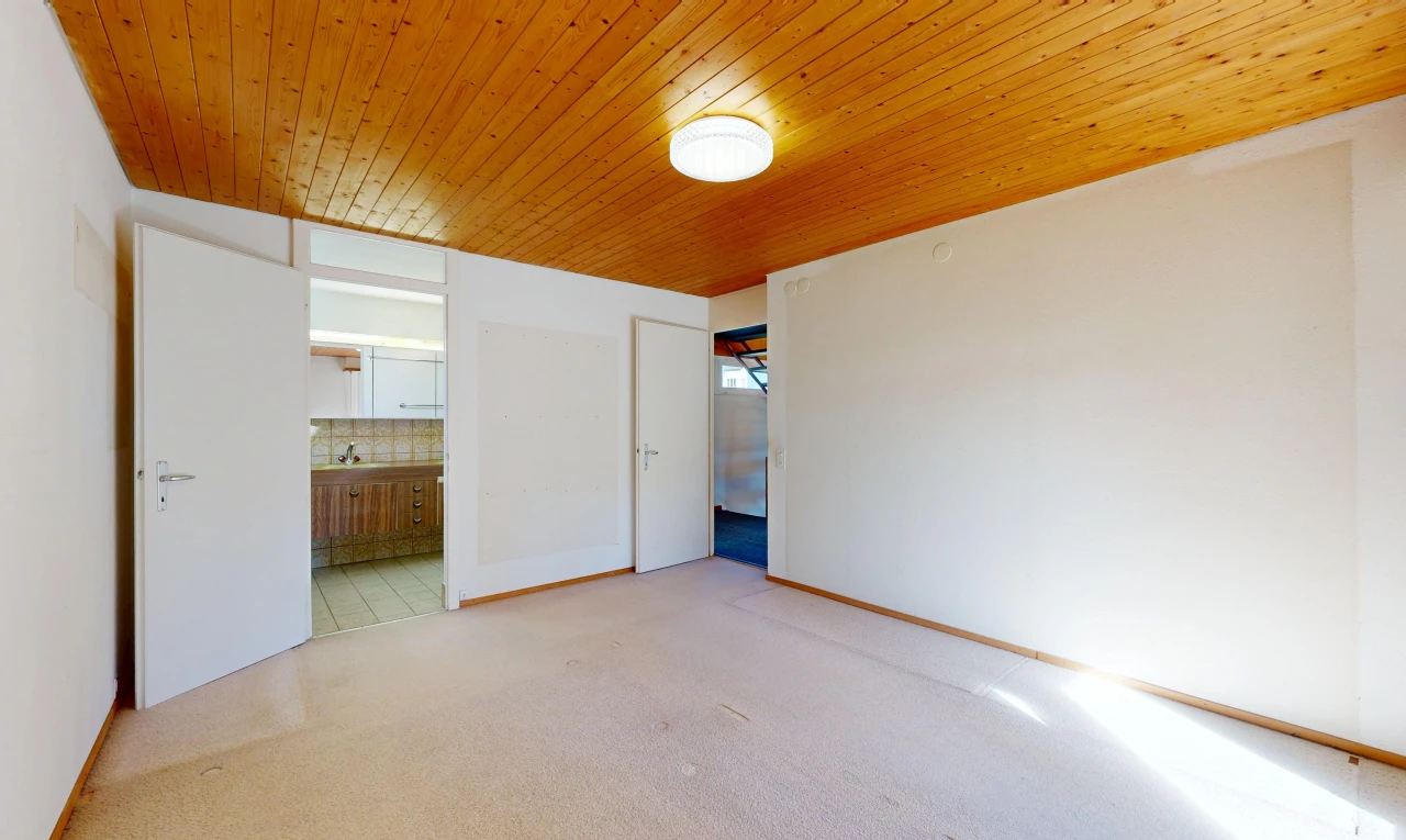 leerer raum mit holzdecke, wood ceiling, teppich, carpet, und gipskartonwand
