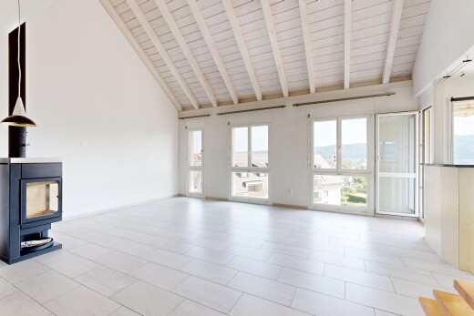 leerer raum mit hohe decke, high ceiling, holzofen, natürliches licht, und natural light
