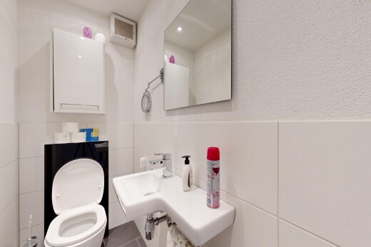 bad mit spiegel, gäste-wc, toilette, inside property, und fliesenwand