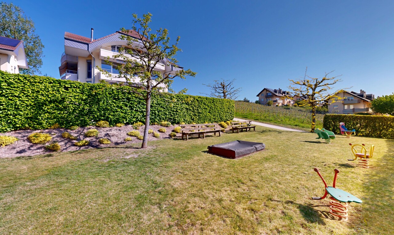 jardin avec pelouse et day time