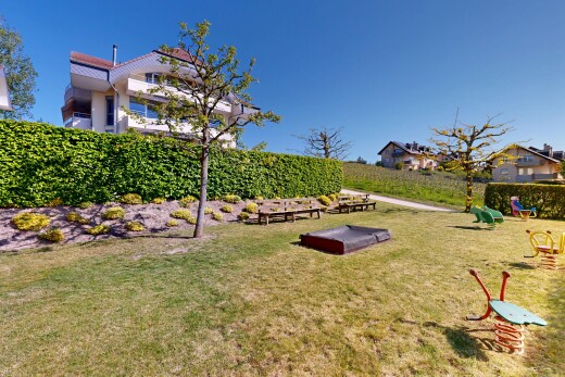 jardin avec pelouse et day time