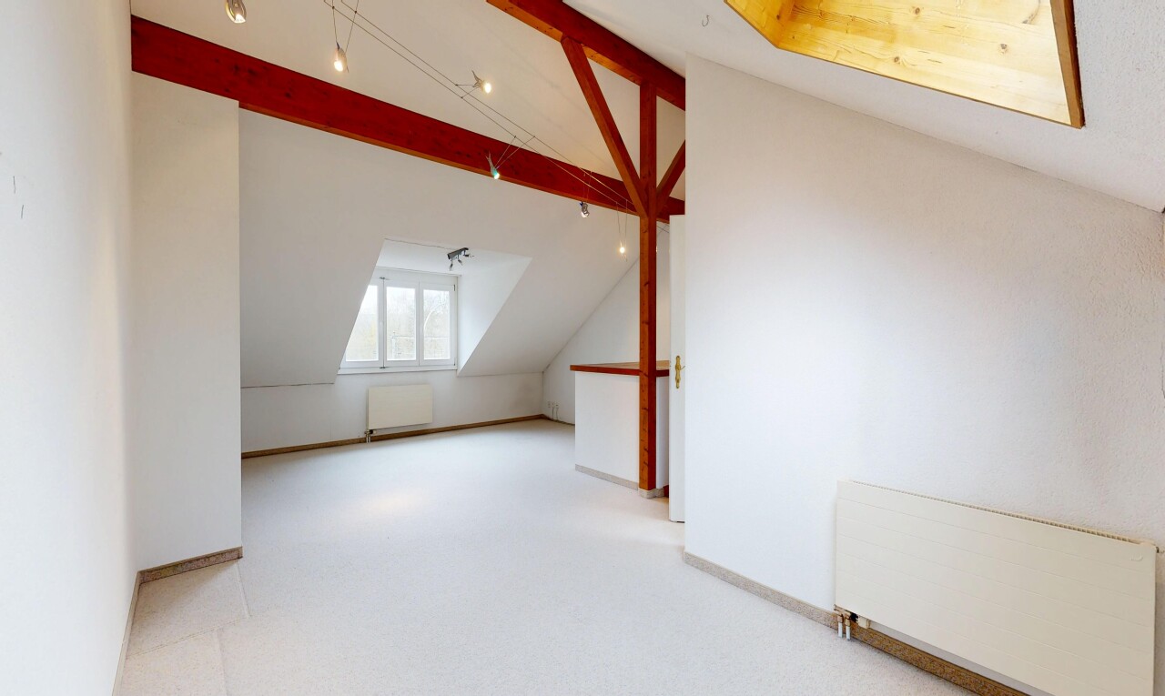 leerer raum mit dachschräge, vaulted ceiling, kühler, natürliches licht, und natural light