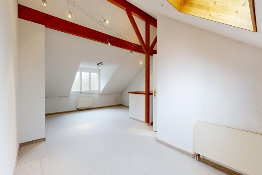 pièce vide avec plafond voûté, vaulted ceiling, radiateur, lumière naturelle, et natural light