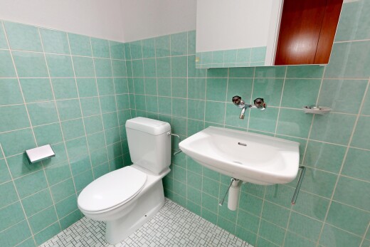 bad mit fliesenboden, tile floor, gäste-wc, toilette, und fliesenwand