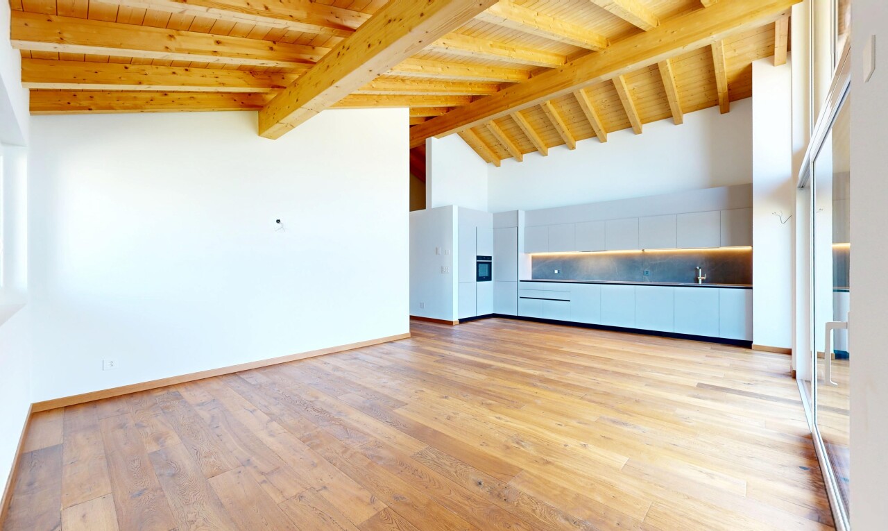 leerer raum mit dachschräge, vaulted ceiling, holzdecke, wood ceiling, und gipskartonwand