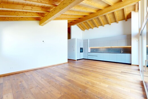 leerer raum mit dachschräge, vaulted ceiling, holzdecke, wood ceiling, und gipskartonwand