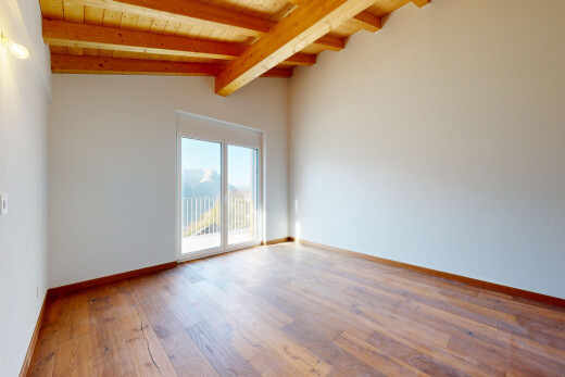pièce vide avec plafond voûté, vaulted ceiling, sol en finition bois, wood finish floor, et day time
