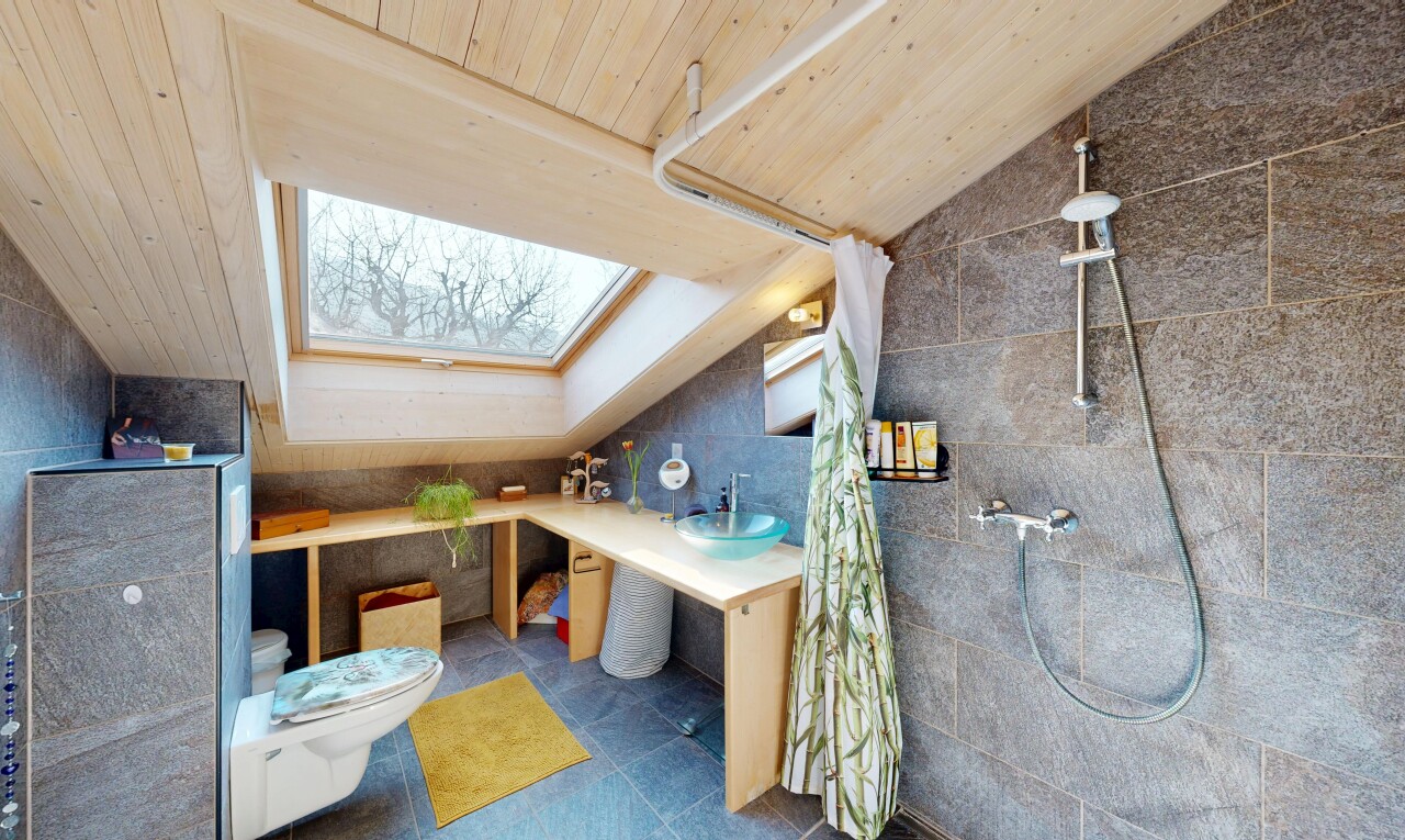 salle de bains avec toilette, puits de lumière, salle de bain complète, inside property, et douche
