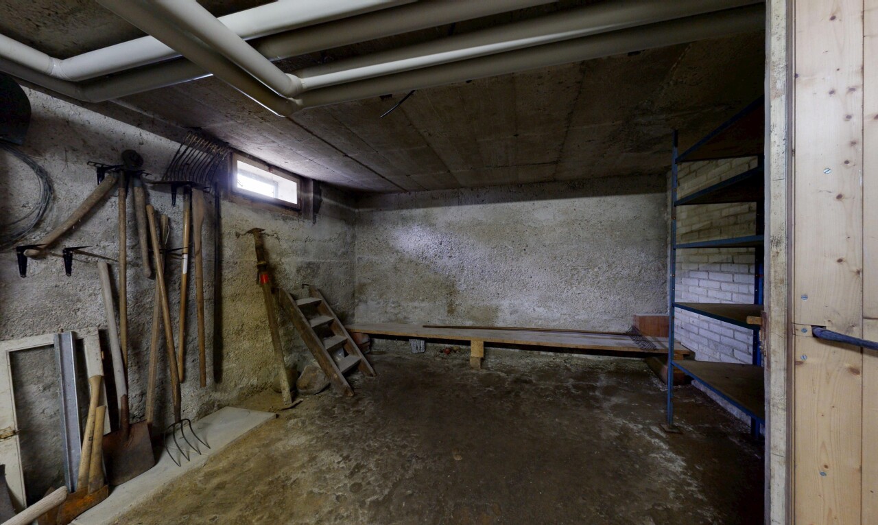 leerer raum mit keller, natürliches licht, und inside property