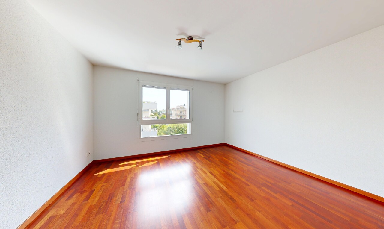 pièce vide avec plinthes murales, baseboards wall, sol en finition bois, wood finish floor, et lumière naturelle