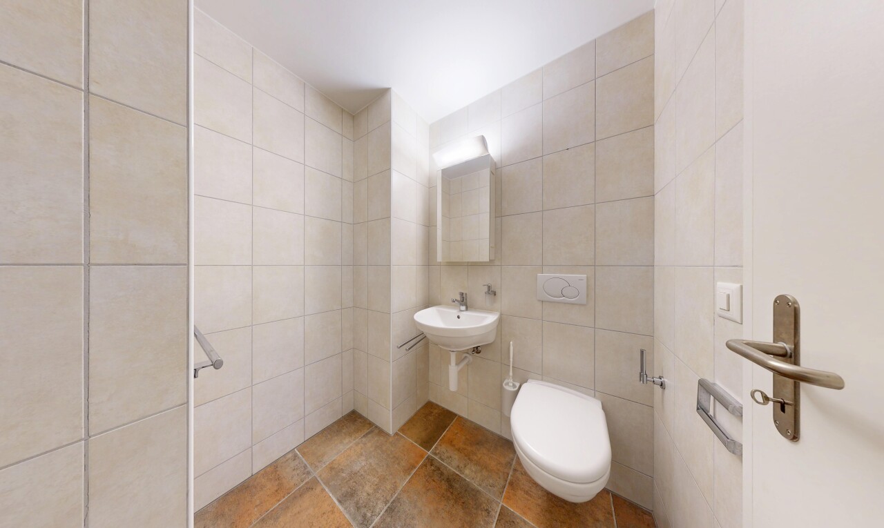 salle de bains avec tile wall, mur en carrelage, miroir, toilette, et inside property