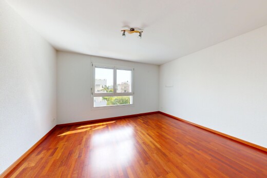 pièce vide avec plinthes murales, baseboards wall, sol en finition bois, wood finish floor, et lumière naturelle