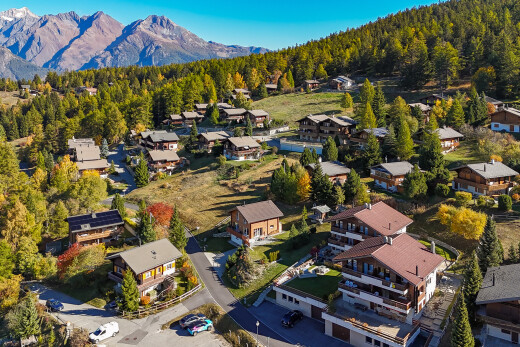 blick auf die berge mit waldblick, forest view, day time, blick auf die berge, und mountain view