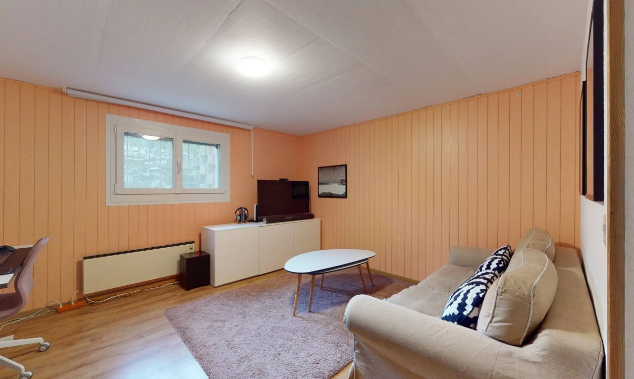 salon avec lumière naturelle, parquet, radiateur, et télévision