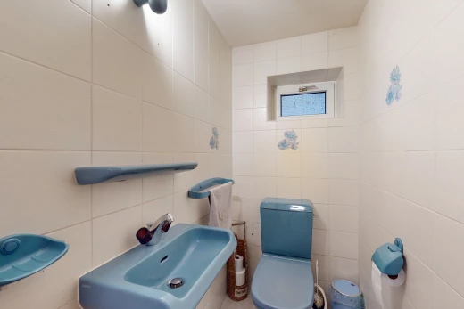 salle de bains avec vasque, toilettes, et miroir
