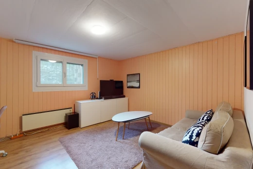 salon avec lumière naturelle, parquet, radiateur, et télévision