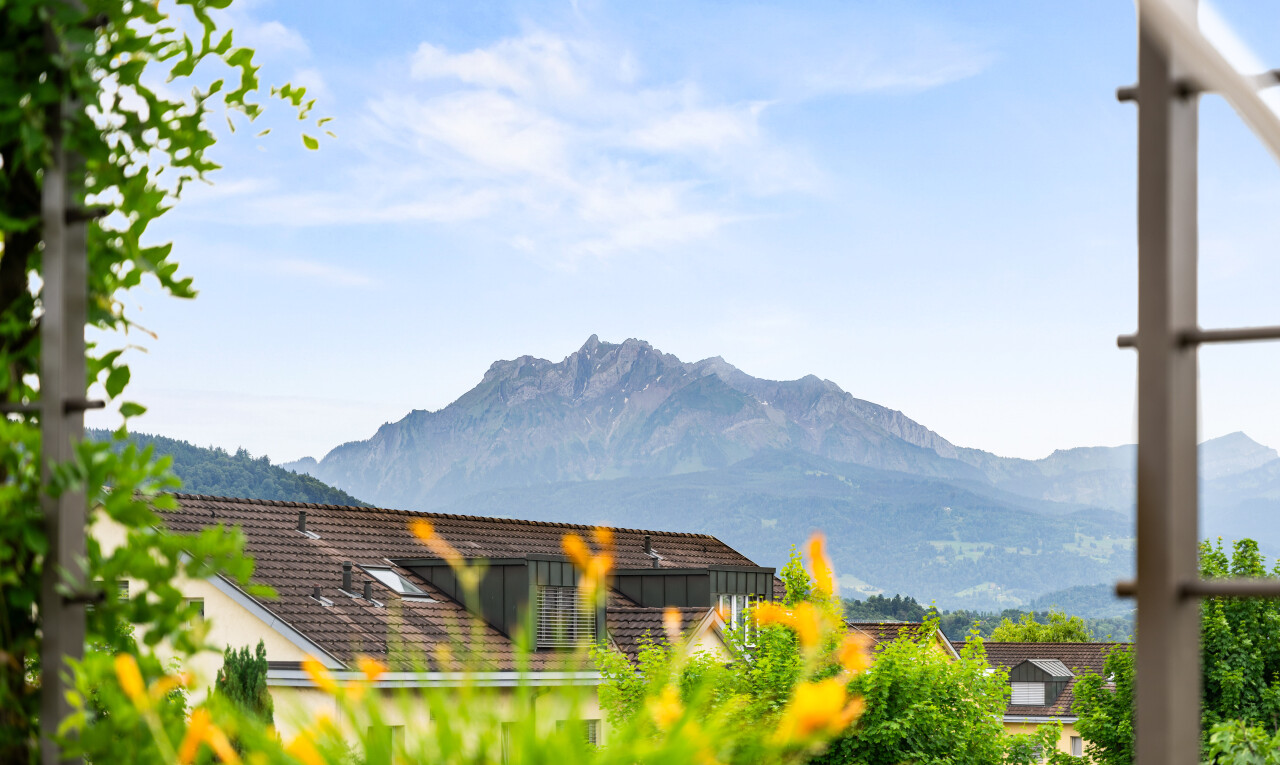 blick auf die berge mit mountain view, blick auf die berge, und day time