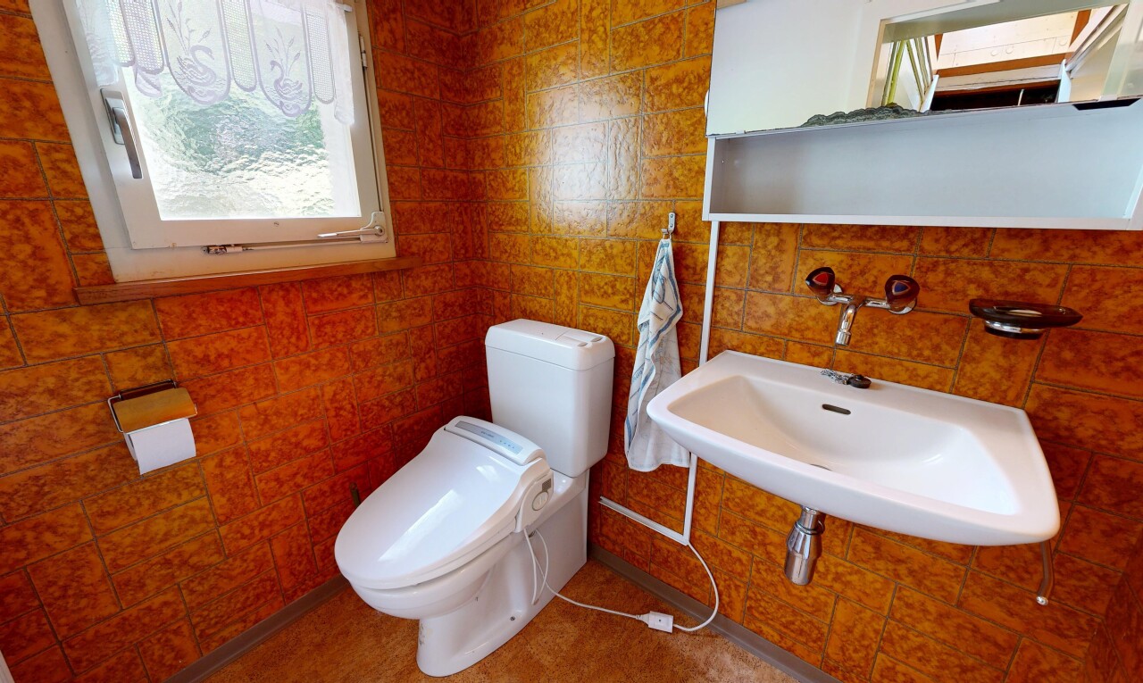 bad mit gäste-wc, toilette, waschbecken, natürliches licht, und natural light