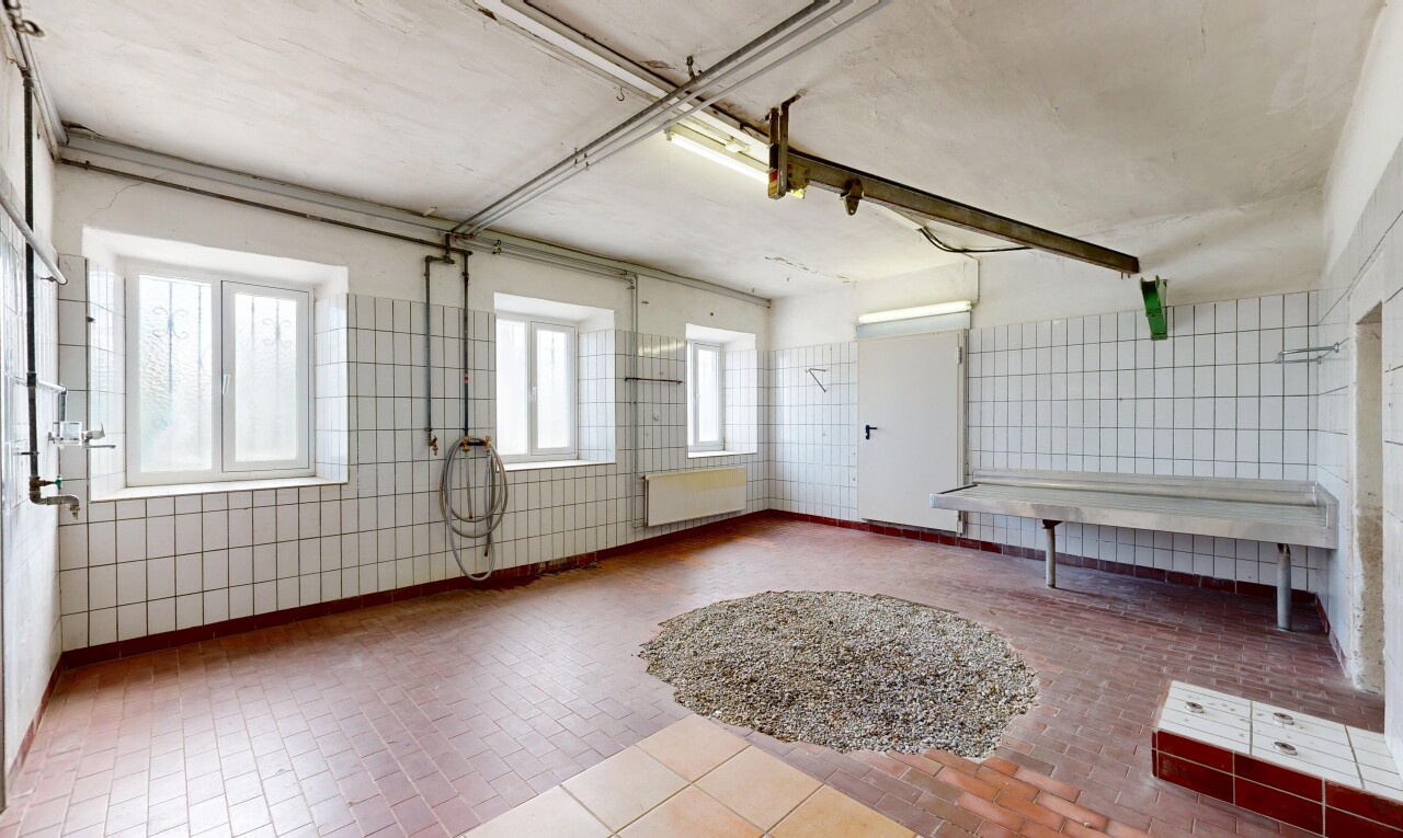 leerer raum mit natürliches licht, natural light, inside property, fliesenwand, und tile wall