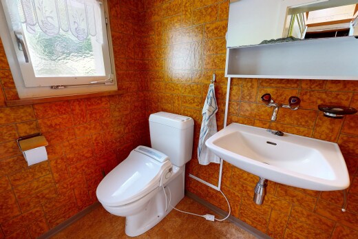 bad mit gäste-wc, toilette, waschbecken, natürliches licht, und natural light