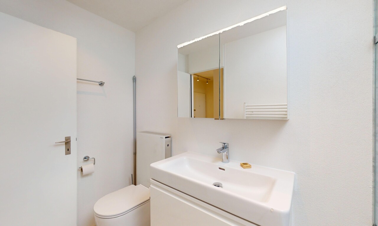 salle de bains avec évier, toilette, cloison sèche, lavabo (ou coiffeuse selon le contexte), et miroir