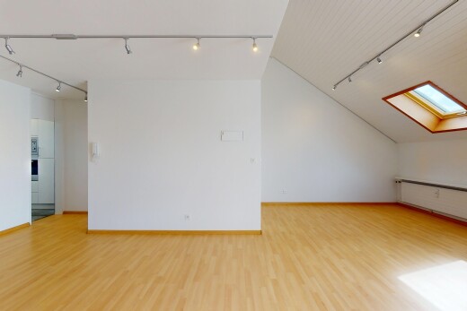 leerer raum mit deckenbeleuchtung, holzfußboden, gipskartonwand, und dachfenster