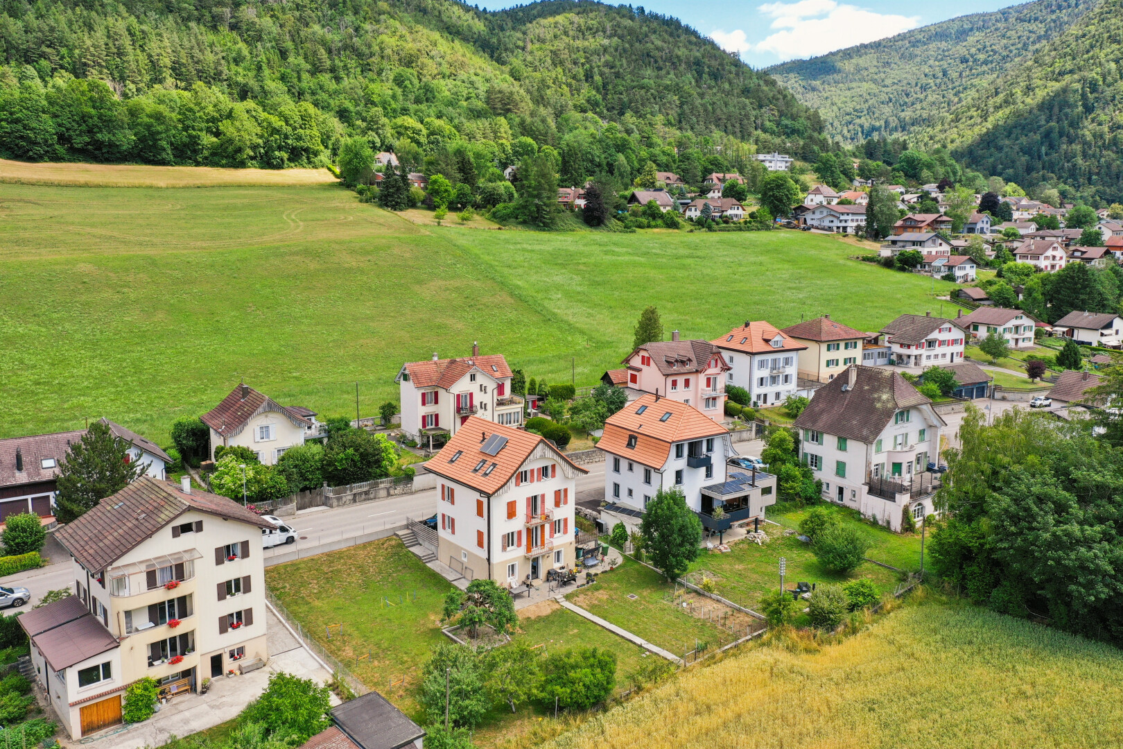 vue sur la montagne avec day time, vue sur la montagne, mountain view, vue sur la forêt, et forest view