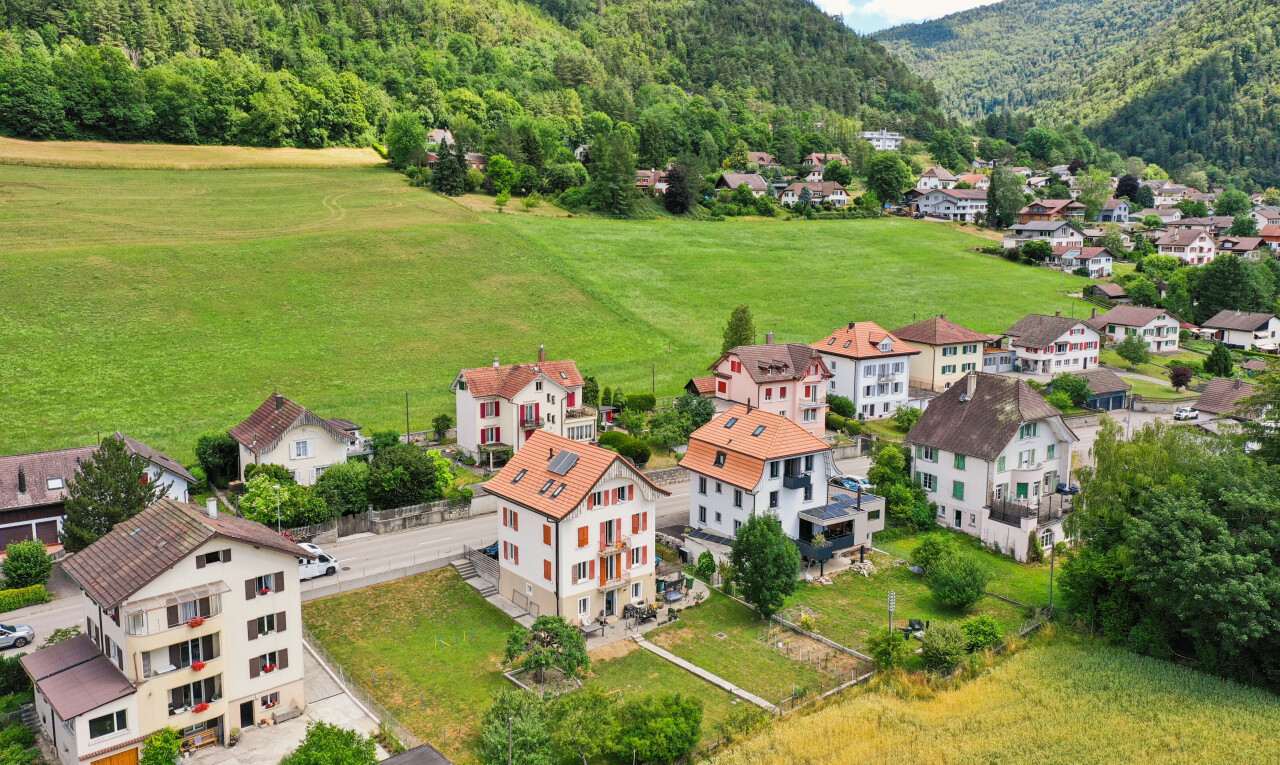 vue sur la montagne avec day time, vue sur la montagne, mountain view, vue sur la forêt, et forest view