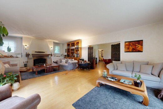 wohnzimmer mit kamin, inside property, natürliches licht, natural light, und holzfußboden