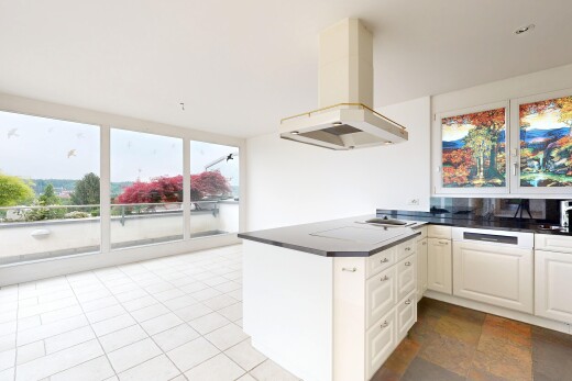 küche mit dark countertops, arbeitsplatten, raised cabinets, hochgezogene schränke, und kitchen peninsula