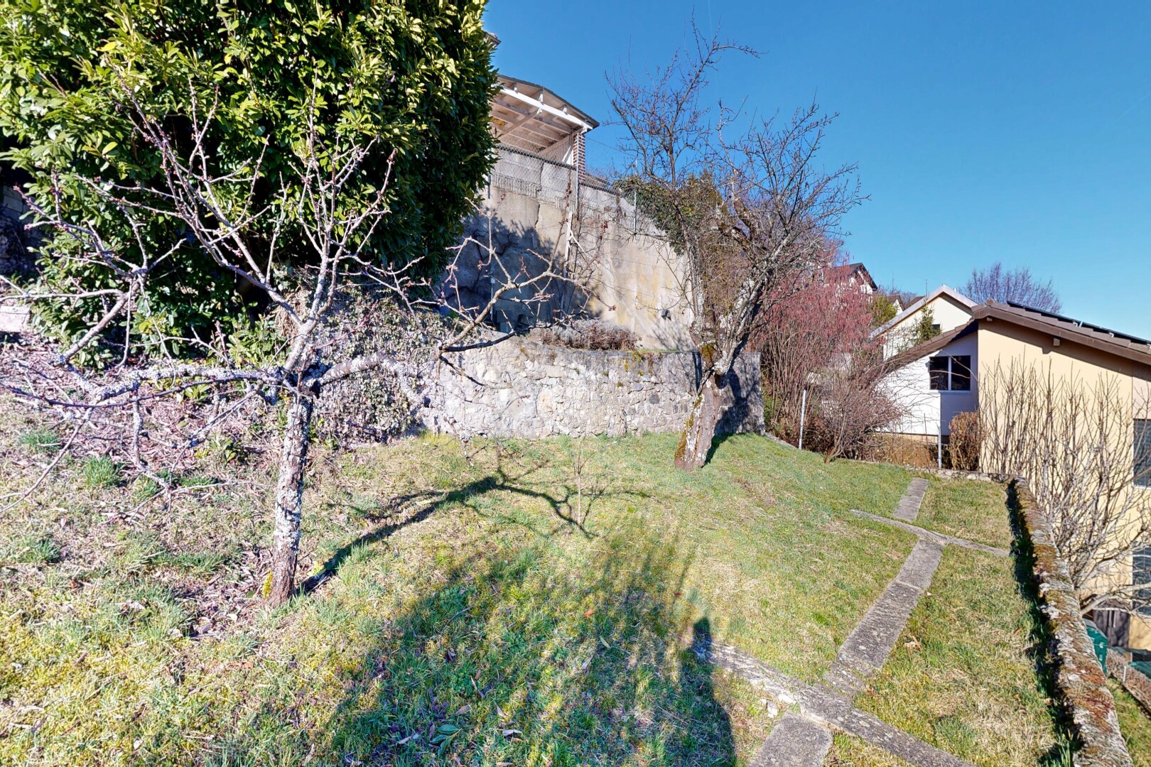 garden with a yard