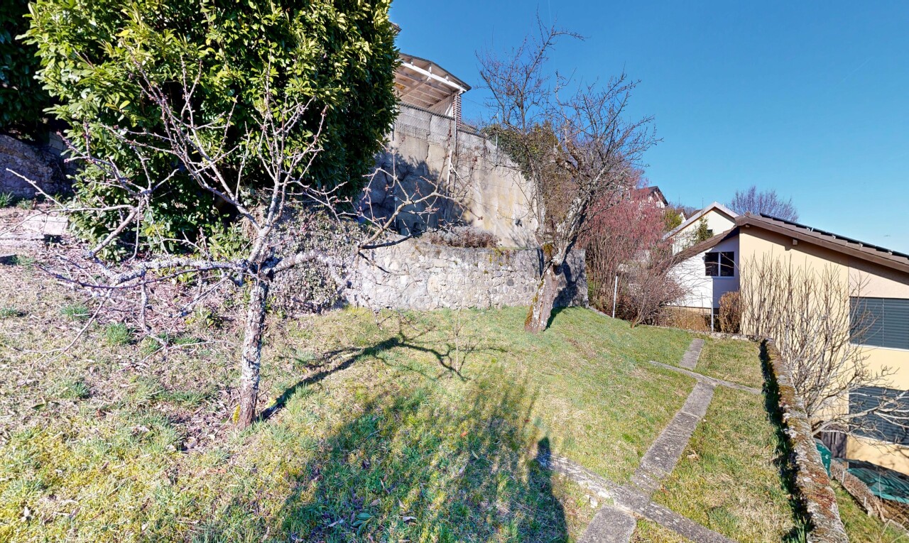 garden with a yard