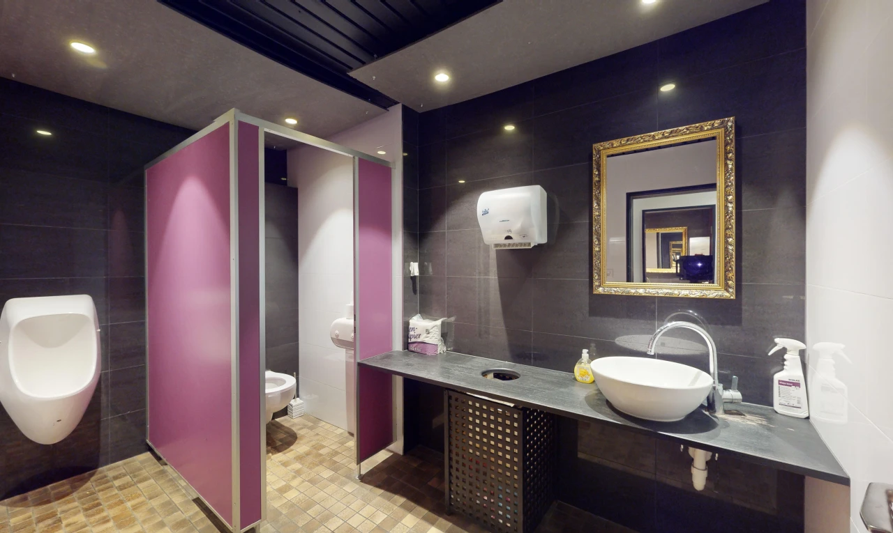 salle de bains avec toilettes, vasque, miroir, et mur carrelé