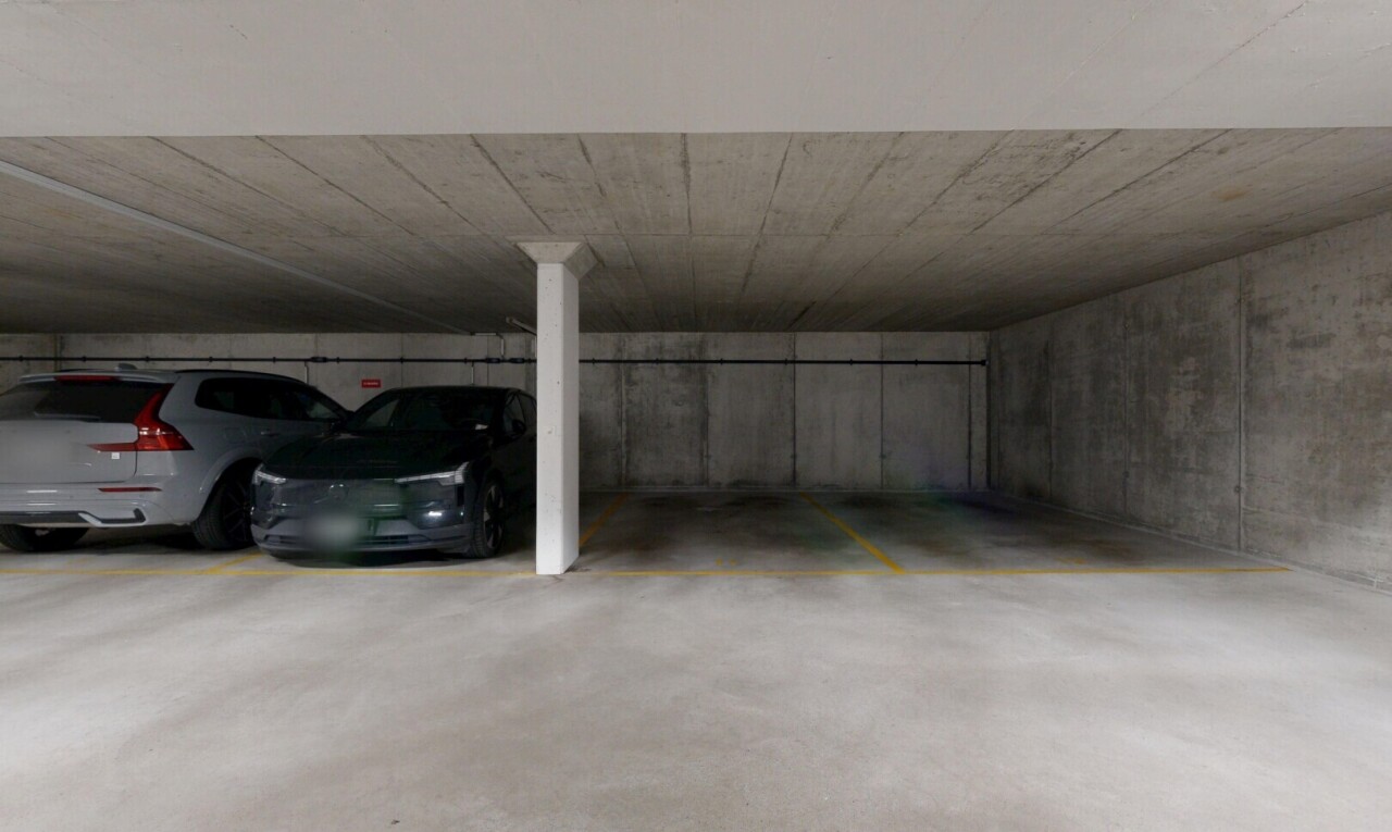 parken mit parkgarage