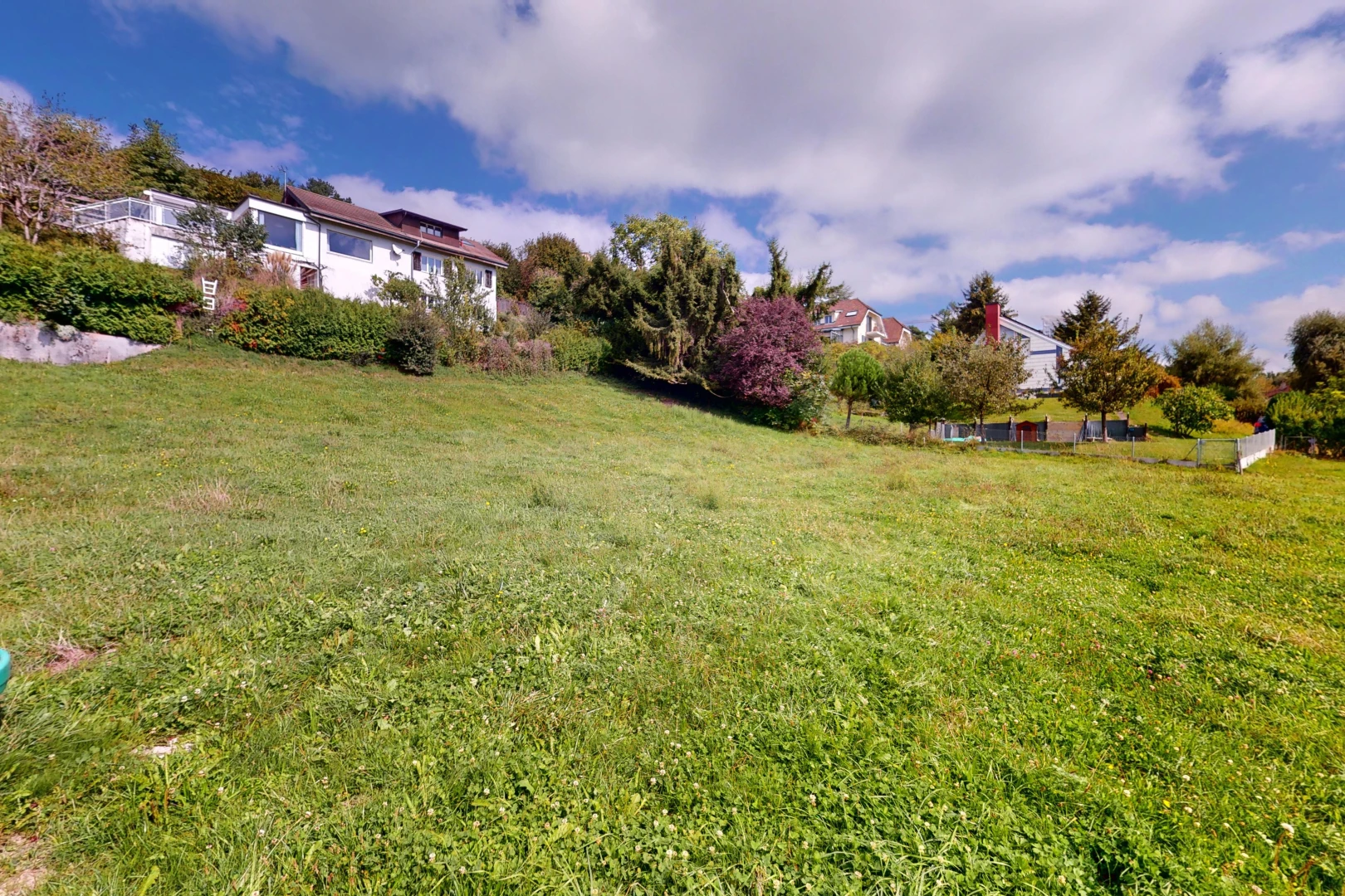 garden featuring a yard