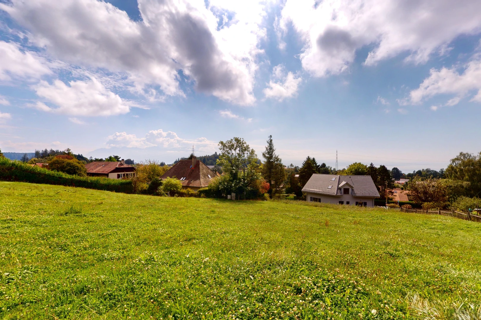 garden with a yard