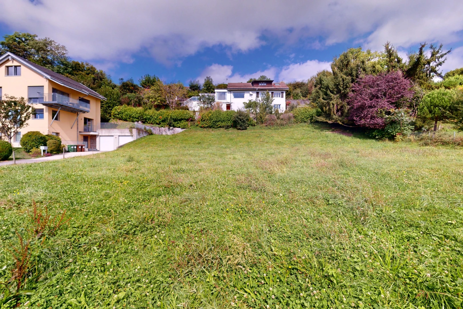 garden with a yard
