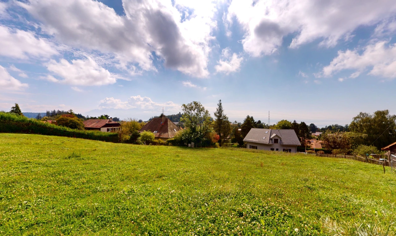 garden with a yard