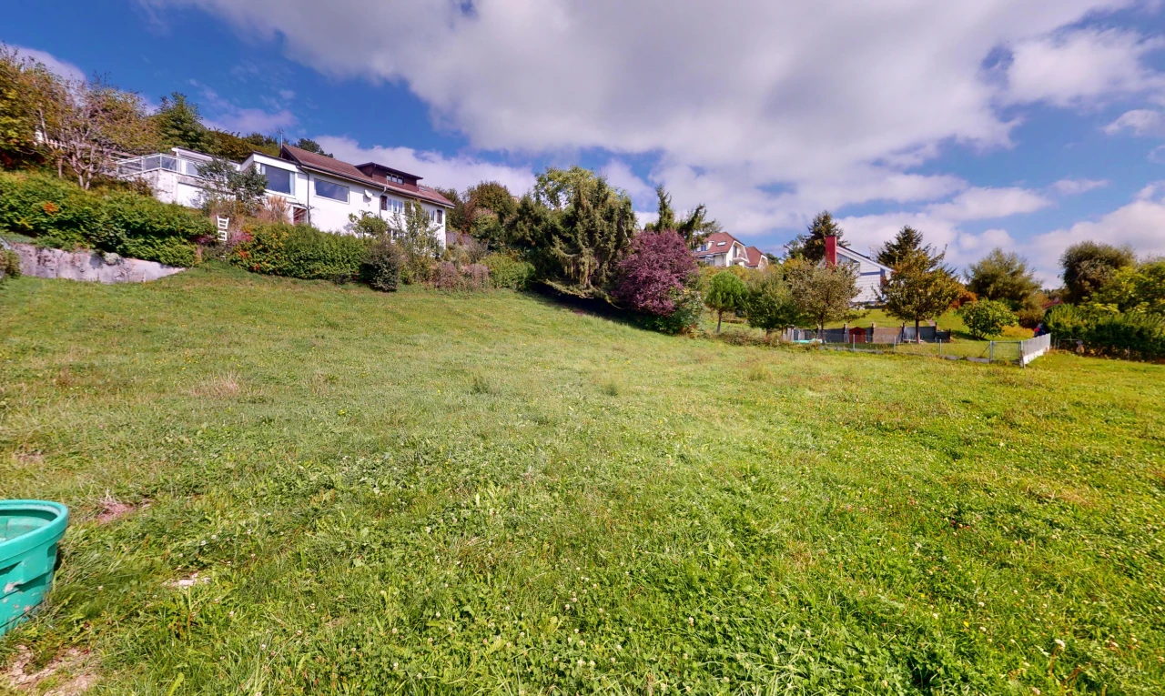 garden featuring a yard
