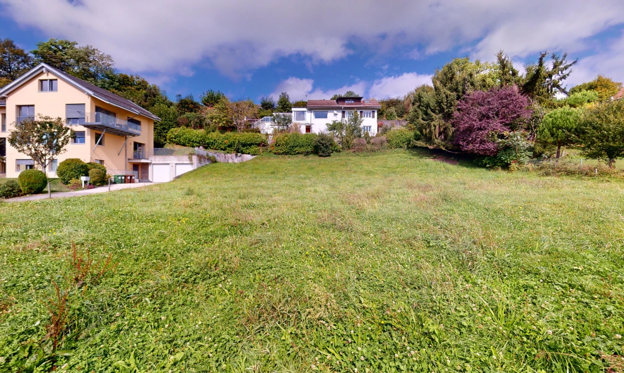 garden with a yard