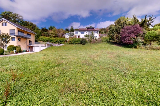garden with a yard