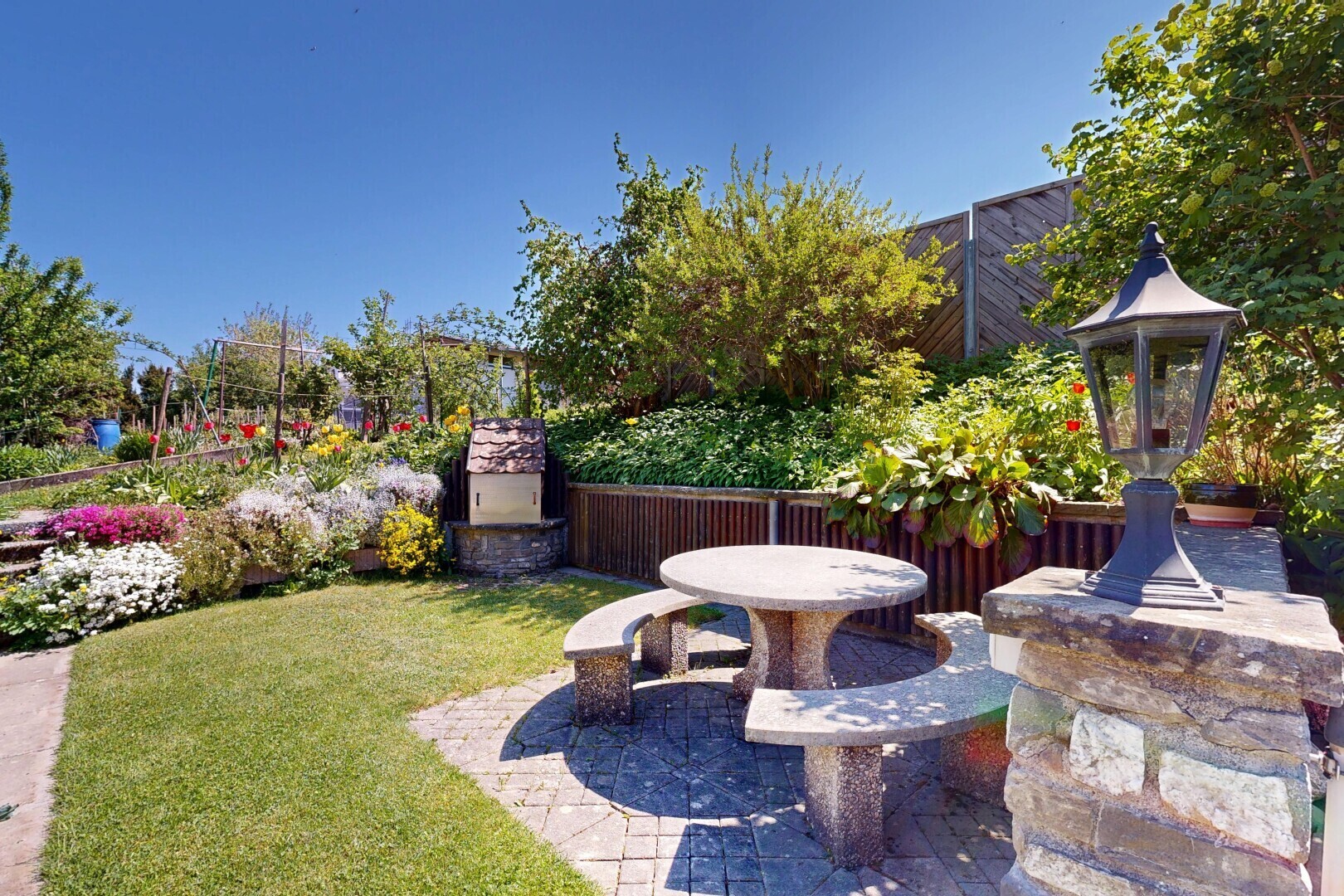 garden featuring a patio area and a yard