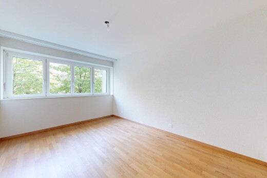 pièce vide avec sol en finition bois, wood finish floor, lumière naturelle, natural light, et inside property