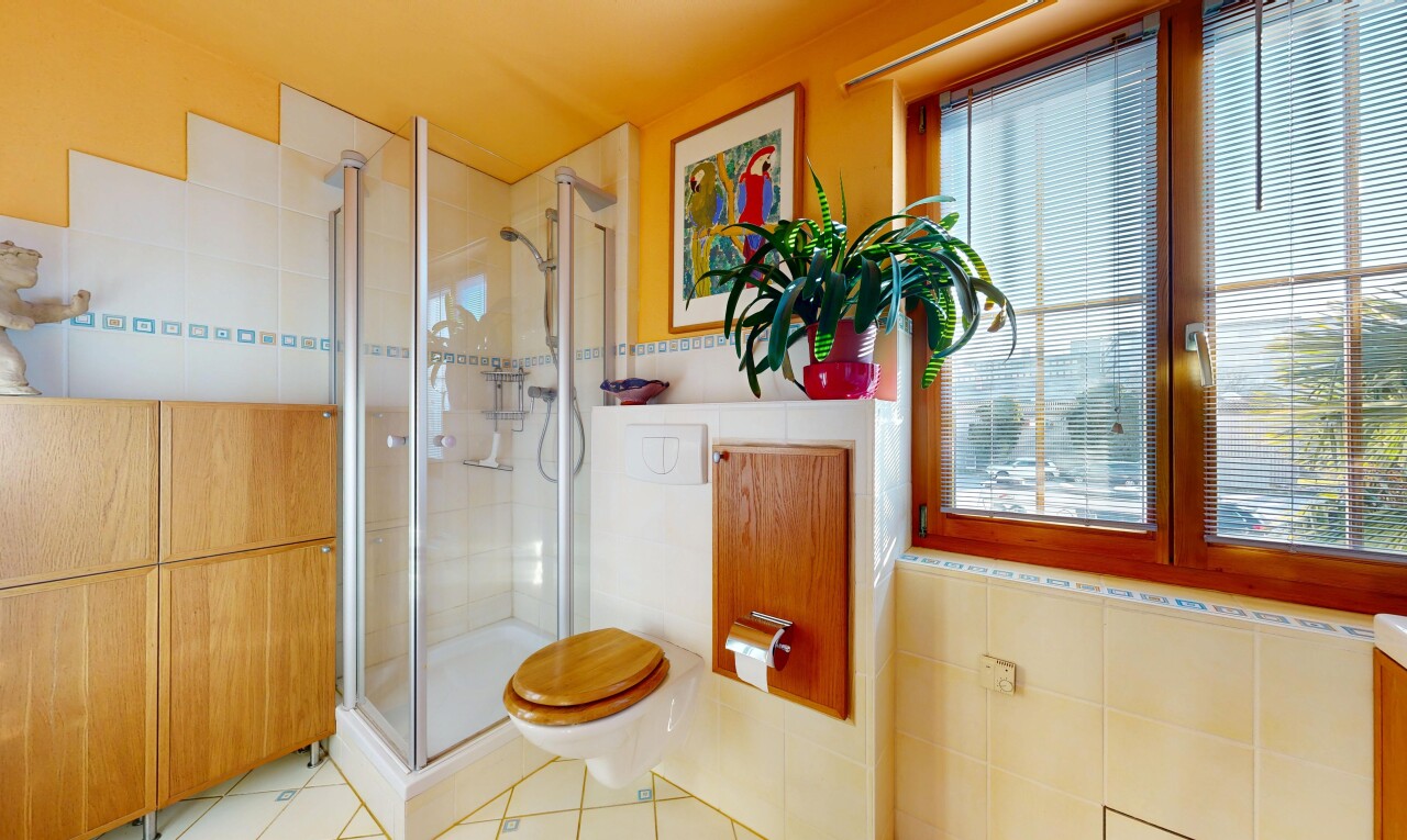bad mit dusche, komplettes badezimmer, natürliches licht, natural light, und inside property