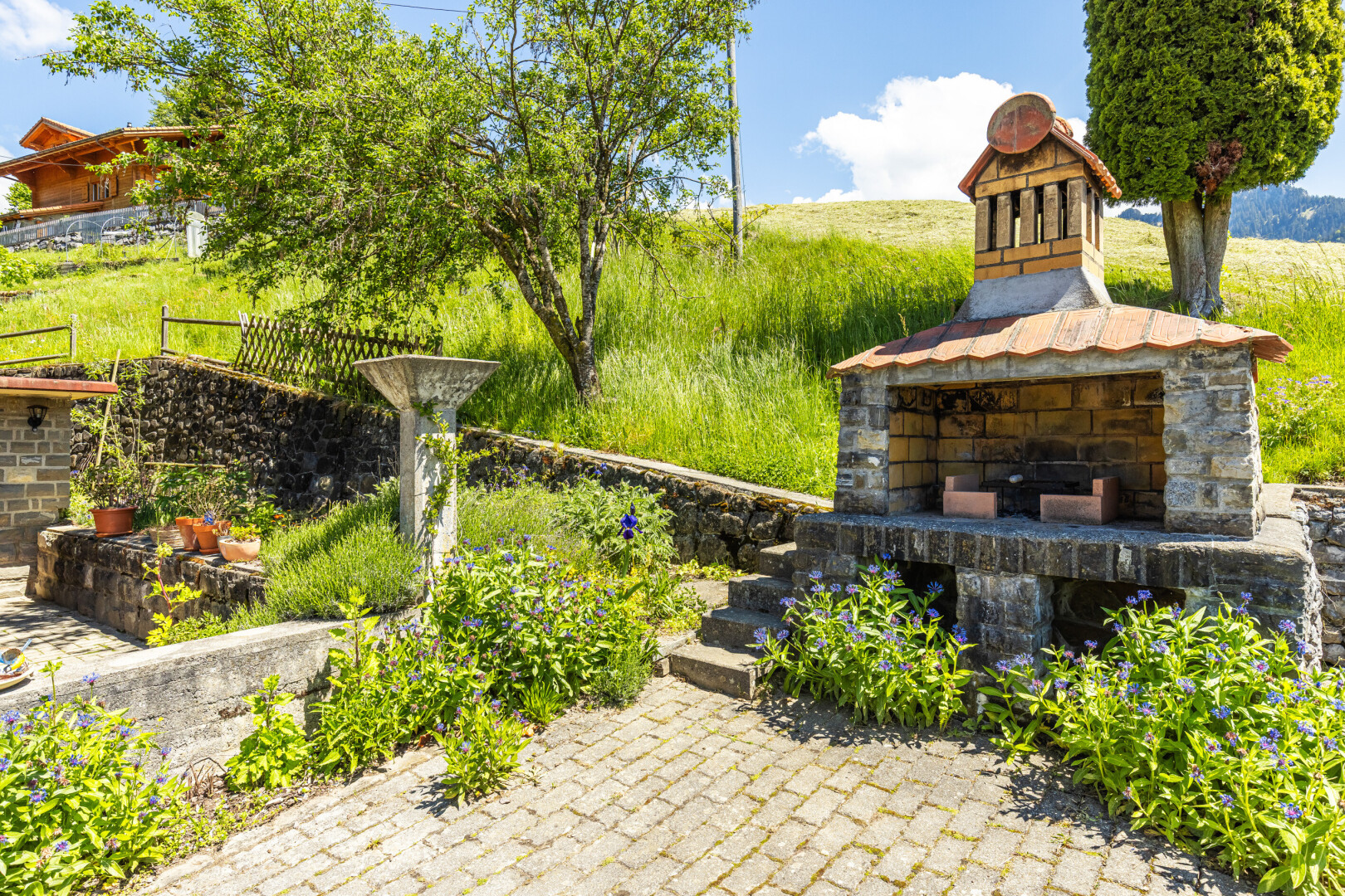 jardin avec day time, cheminée, clôture, et terrasse
